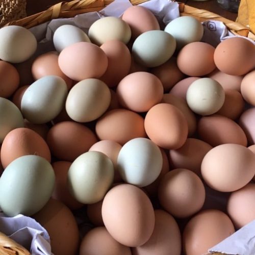 Snapinsta.app_140101299_162176788732766_7915357142773798194_n_1080